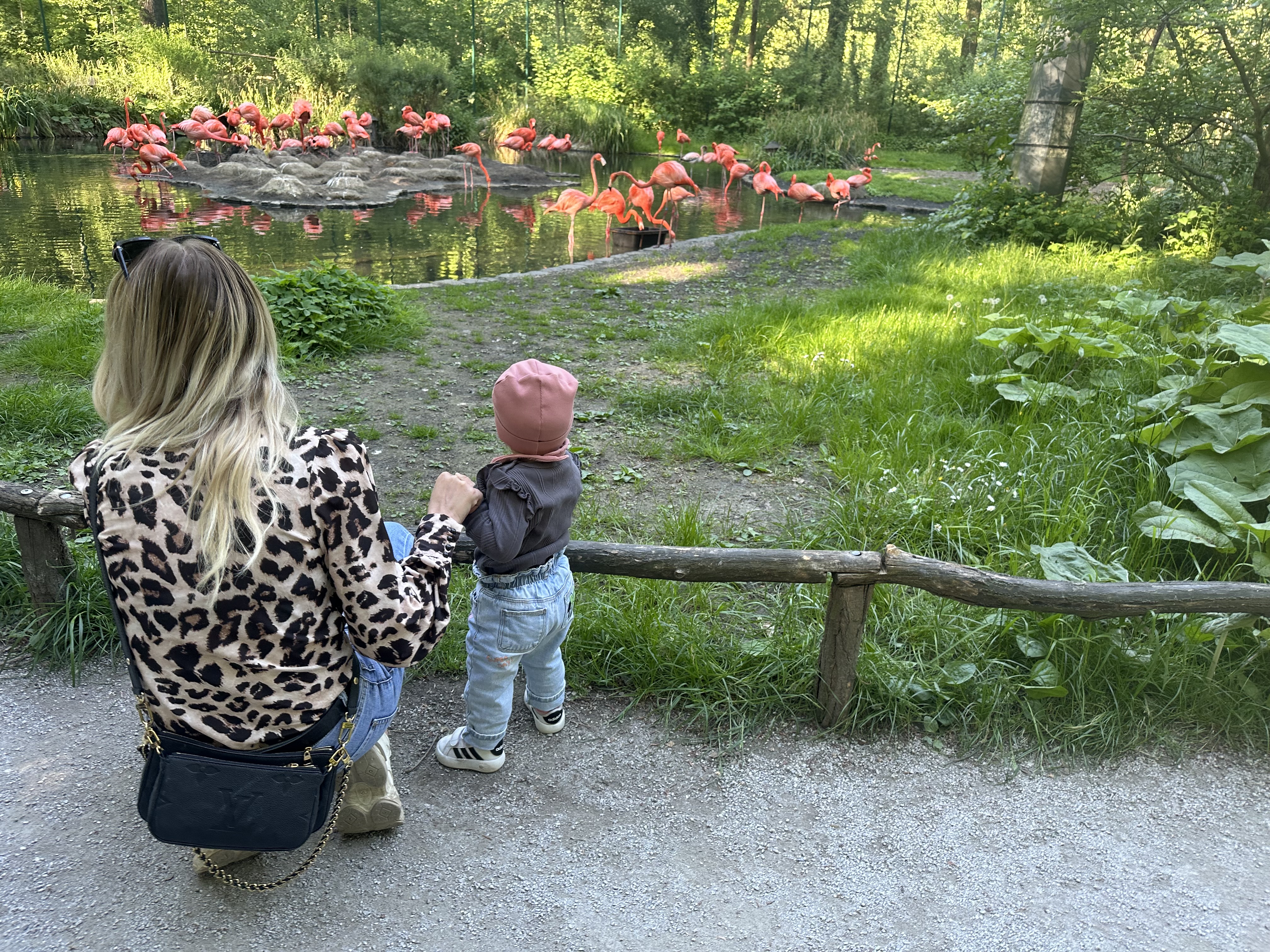 Ausflüge mit den Kids